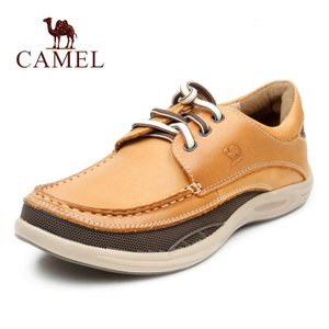 Camel/骆驼 2388006