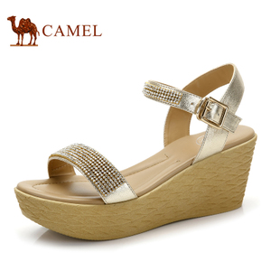 Camel/骆驼 A93013639