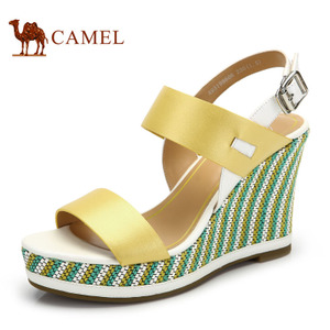 Camel/骆驼 A93198606