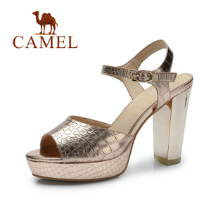 Camel/骆驼 A93173612