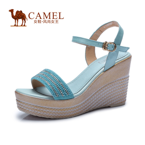 Camel/骆驼 A52552601