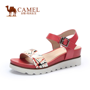 Camel/骆驼 A52833600