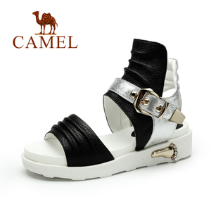 Camel/骆驼 A93137600