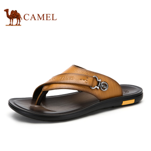 Camel/骆驼 A522263043