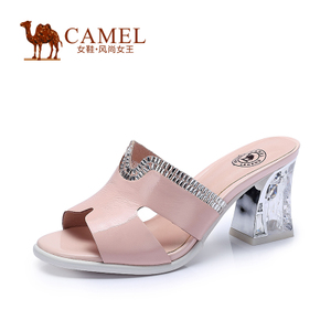Camel/骆驼 A52154603