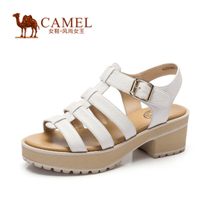 Camel/骆驼 A52504606
