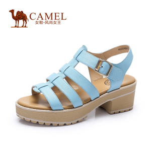 Camel/骆驼 A52504606