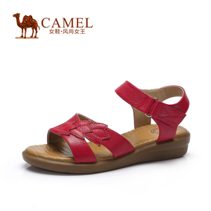 Camel/骆驼 A52017600