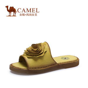 Camel/骆驼 A52007609