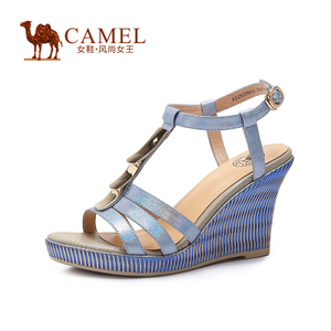 Camel/骆驼 A52825602