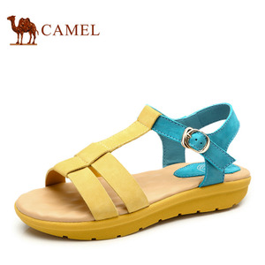 Camel/骆驼 A93153610
