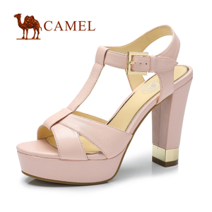 Camel/骆驼 A93112600