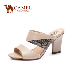 Camel/骆驼 A52117603