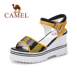 Camel/骆驼 A62504638
