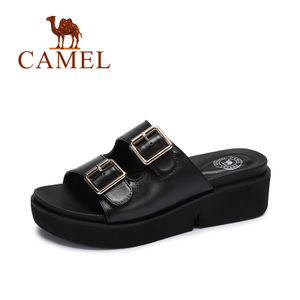 Camel/骆驼 A62255601