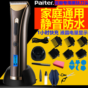 Paiter G-9901
