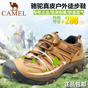 Camel/骆驼 A2309046