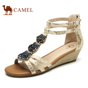 Camel/骆驼 A93013632
