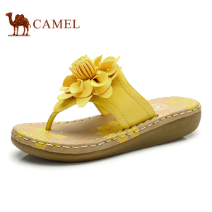 Camel/骆驼 A93128606