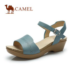 Camel/骆驼 A93037615