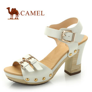 Camel/骆驼 81152600