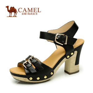 Camel/骆驼 81152600