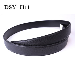 DSY-H11