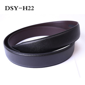 DSY-H22