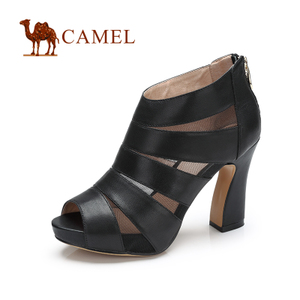 Camel/骆驼 A93057600