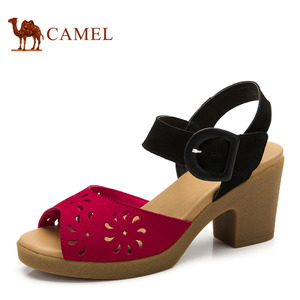Camel/骆驼 A93196622