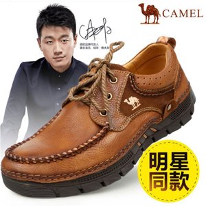 Camel/骆驼 253390019