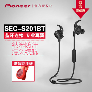 Pioneer/先锋 SEC-S201BT