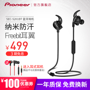 Pioneer/先锋 SEC-S201BT