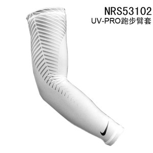 NRS53102