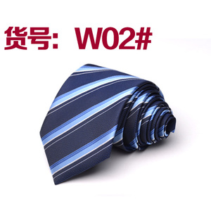 逐速 ZS-007-W02