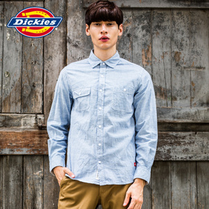 Dickies 141M20EC02