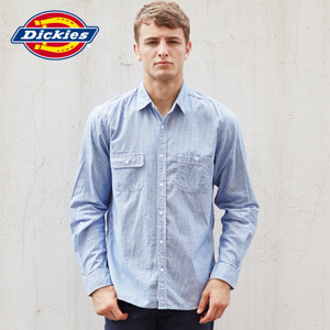 Dickies 141M20EC02