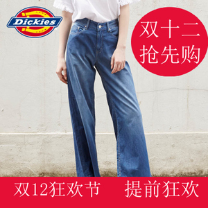 Dickies 163W40WD19