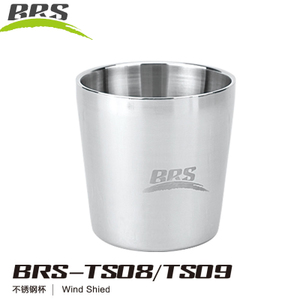 BRS-TS08