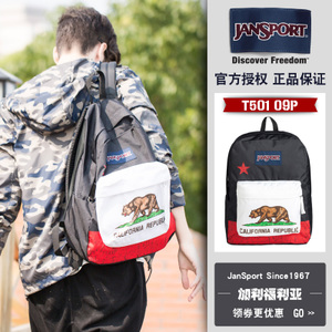 Jansport T50109P