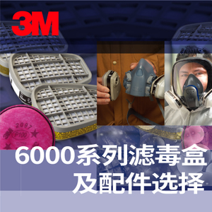 3M 6000