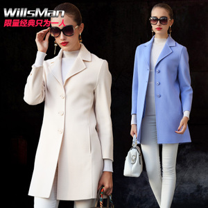 Willsman WM15K91356