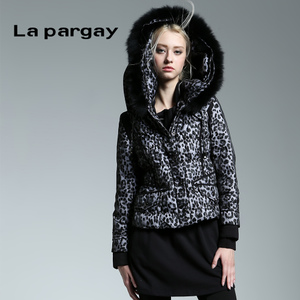 La pargay L364147C