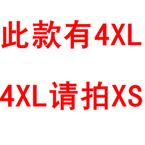 4XLXS