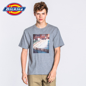 Dickies 164U30WD04M