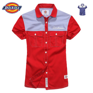 Dickies 132W20WD05