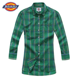 Dickies 141W20WD06-XXGWY