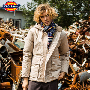 Dickies 134M10WD29