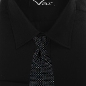 var 811SS021