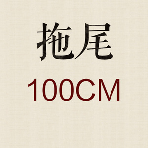 100CM